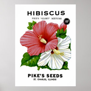Poster Hibiscus Vintage Seed Packet