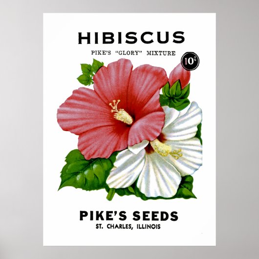 Poster Hibiscus Vintage Seed Packet (Devant)