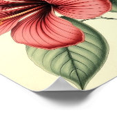 Poster Hibiscus Vintage sur Papier Patiné (Coin)