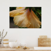 Poster HibiscusJaune75 (Cuisine)