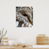 POSTER HIBOU (Cuisine)