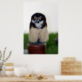 Poster Hibou à lunettes (Cuisine)