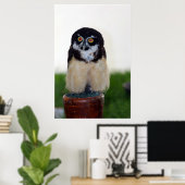 Poster Hibou à lunettes (Bureau à domicile)