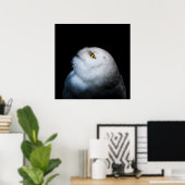 Poster Hibou blanc d'hiver (Bureau à domicile)
