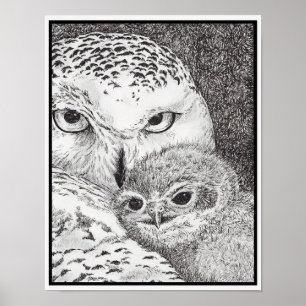 Poster Hibou blanc et bébé hibou