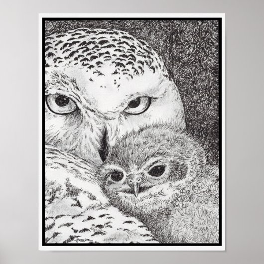 Poster Hibou blanc et bébé hibou (Devant)