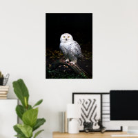 Hibou blanc majestueux d'hiver