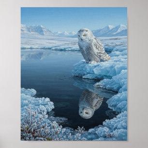 Poster Hibou blanc perché sur un trou de glace dans un ru