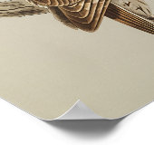 Poster Hibou brun perché sur une branche (Coin)