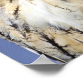 Poster hibou de l'aigle (Coin)