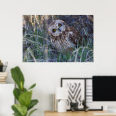 Poster Hibou des marais (Bureau à domicile)