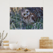 Poster Hibou des marais (Cuisine)