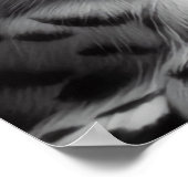 Poster Hibou des neiges monochrome (Coin)