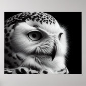 Poster Hibou des neiges monochrome (Devant)