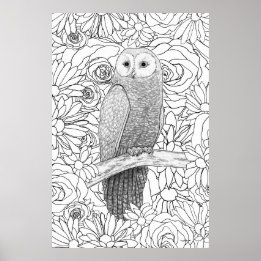Poster Hibou du soir