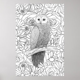 Poster Hibou du soir