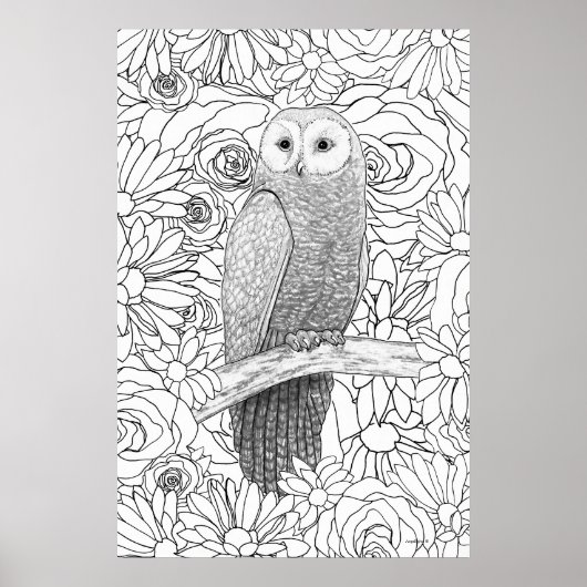 Poster Hibou du soir (Devant)