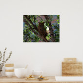 Poster Hibou et lune (Cuisine)