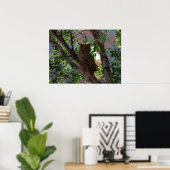 Poster Hibou et lune (Bureau à domicile)