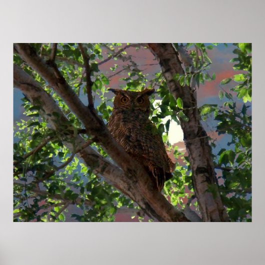 Poster Hibou et lune (Devant)