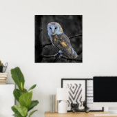 Poster Hibou : Photographie couleur sélective (Bureau à domicile)