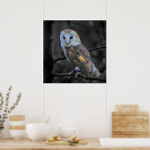 Poster Hibou : Photographie couleur sélective (Cuisine)