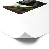 Poster Hibou se reposant dans l'arbre (Coin)