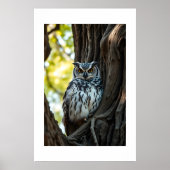 Poster Hibou se reposant dans l'arbre (Devant)