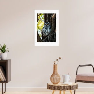 Poster Hibou se reposant dans l'arbre