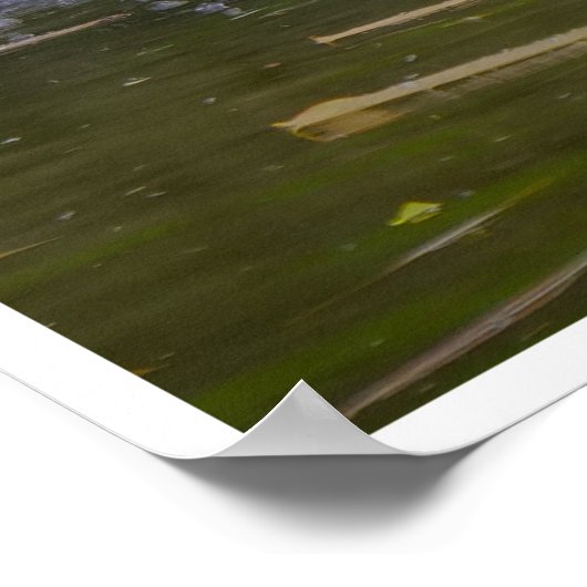 Poster Hidden Garden Cascade (Coin)