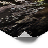 Poster Hidden Temple (Coin)