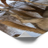 Poster Hideout Horse Ranch (Coin)