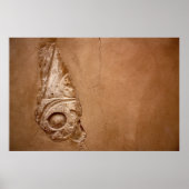 Poster Hiéroglyphe partiel (Devant)