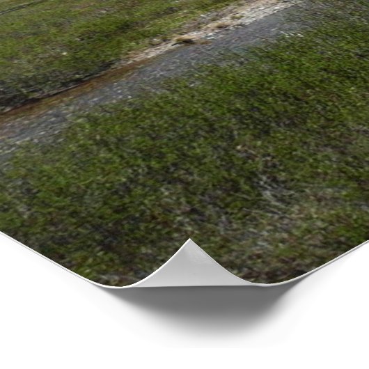 Poster High Country Mountain Stream I (Coin)