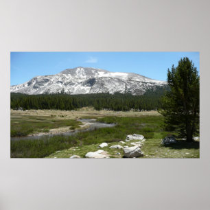 Poster High Country Mountain Stream I