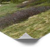 Poster High Country Mountain Stream III à Yosemite (Coin)