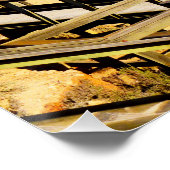 Poster High Tide Arrive, (Coin)