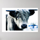 Poster Highland Blue (Devant)