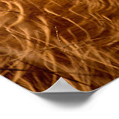 POSTER HIGHLAND CATTLE (Coin)