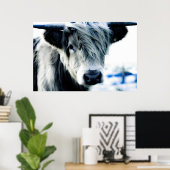Poster Highland Cow (Bureau à domicile)