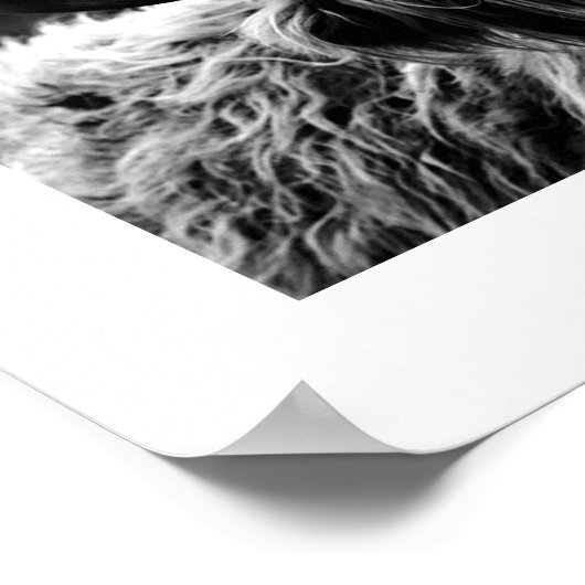 Poster Highland Cow Rustique Boho Chic noir et blanc (Coin)