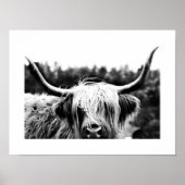 Poster Highland Cow Rustique Boho Chic noir et blanc (Devant)