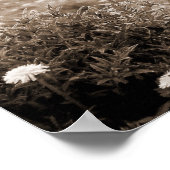 Poster Highland Cow Scotland Russe Monotone Brown (Coin)