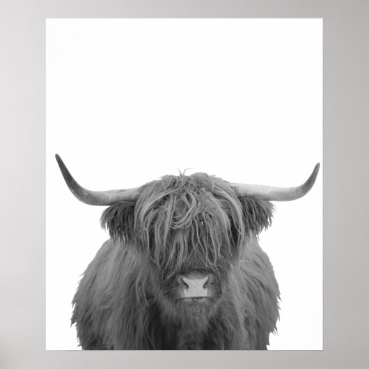 Poster Highland Cow Scotland Russe Noir Blanc (Devant)