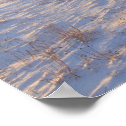 Poster Highland Lighthouse Cape Cod en hiver (Coin)