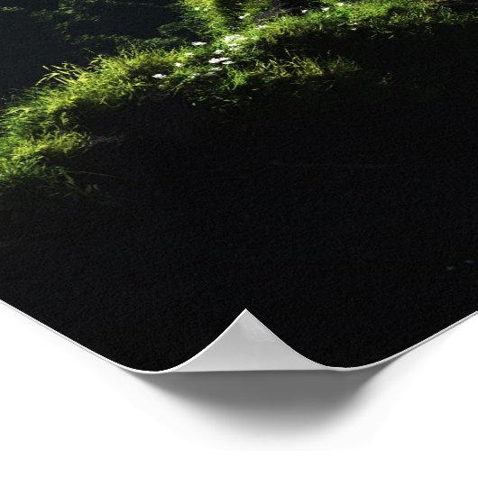 Poster Highland Spring (Coin)