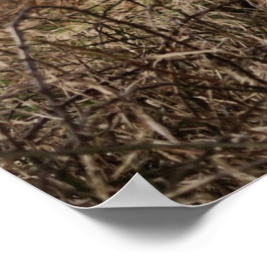 POSTER HIGHLAND VW, ÉCOSSE (Coin)