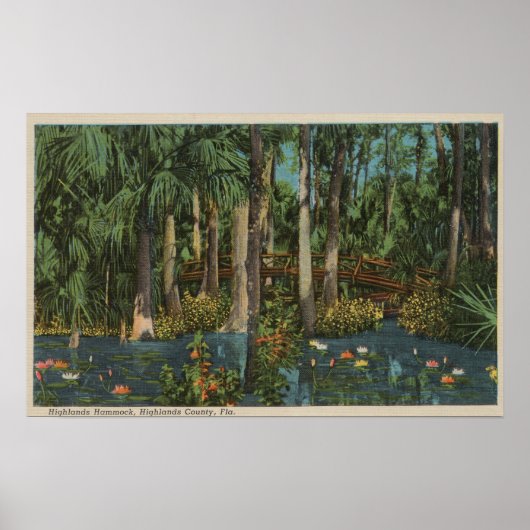 Poster Highlands County, FL - Vue sur Highlands Hammock (Devant)