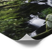 Poster Hiker amires Falls Branch Falls (Coin)