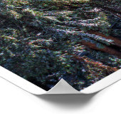 Poster Hiking the Lakes Basin (Coin)